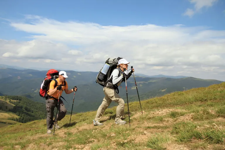 Two hikers with backpacks and poles climbing a mountain meadow