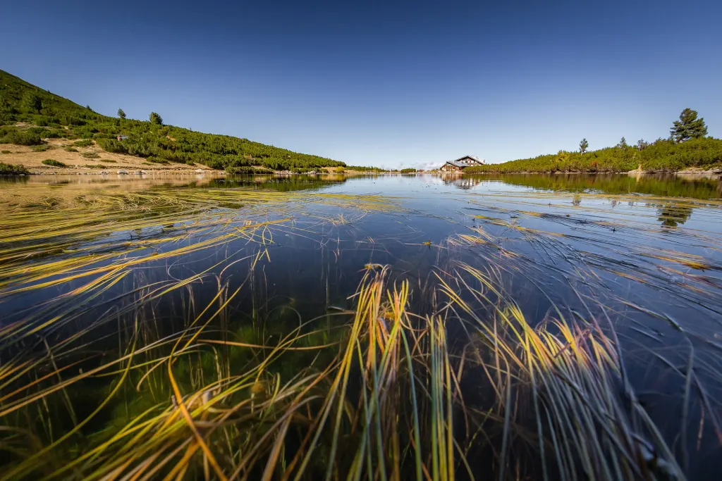 Still mountain lake with golden grasses under a deep blue sky
