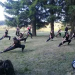 A group practising slow movement exercises on a meadow among pine trees